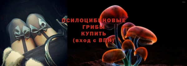 соль ск Переславль-Залесский