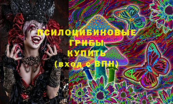 соль ск Переславль-Залесский