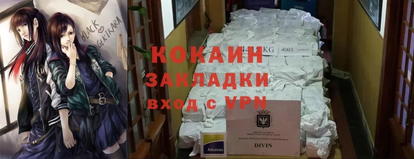 соль ск Переславль-Залесский
