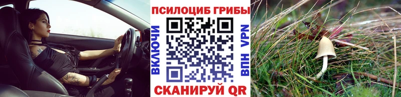 ссылка на мегу ТОР  Шарыпово  Галлюциногенные грибы GOLDEN TEACHER 